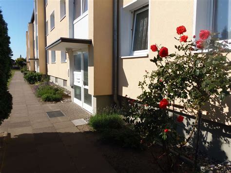 Exclusive doppelhaushälfte in walsrode ab 01.09.21 zu vermieten. Wohnung mieten in Soltau-Fallingbostel (Kreis)