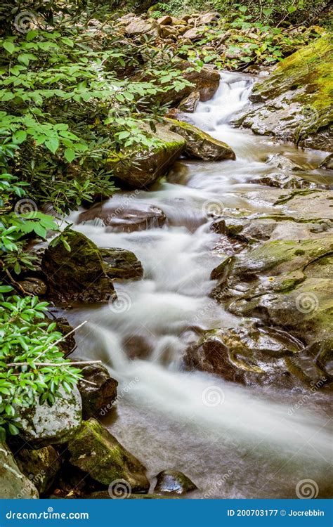 Gentle Stream Cascades Through Forest Stock Image Image Of Lush
