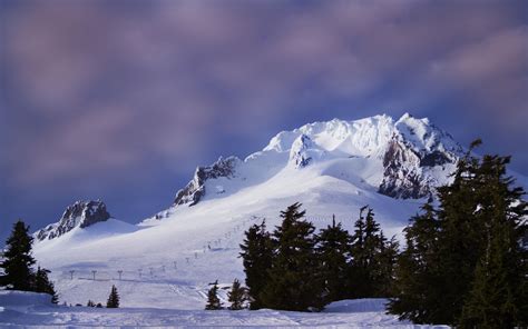 Download Wallpaper 3840x2400 Mountain Snow Slope Trees Winter 4k