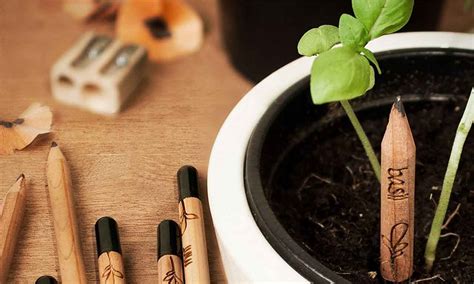 Sprout Plantable Pencil That Grows Into Herbs And Vegetables