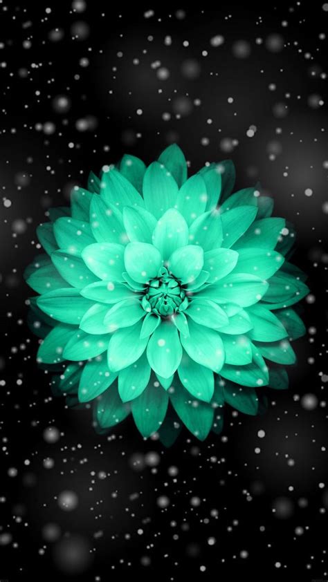 Pin By Rebecca Bandy On Iphone Teal Flower Wallpaper Pretty