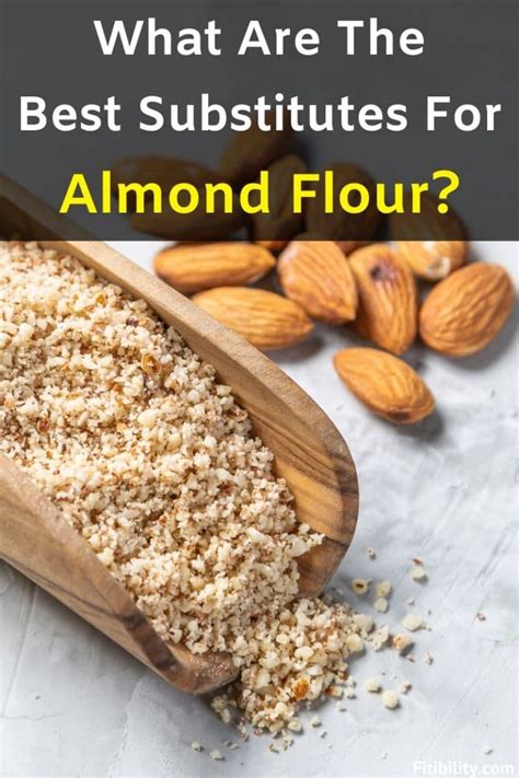 5 Best Almond Flour Alternatives For Your Baking And Dessert Recipes