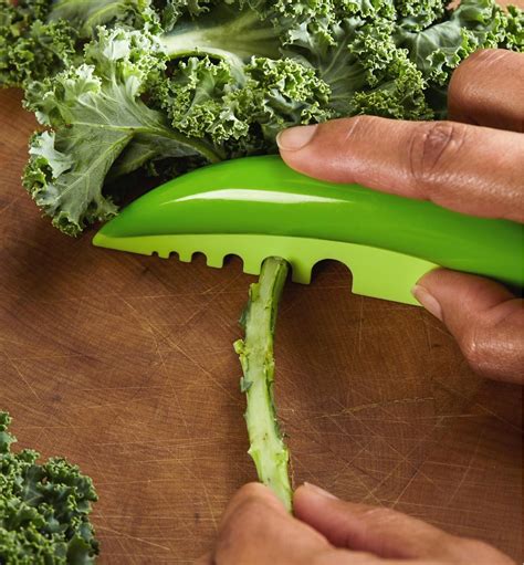 Online Shopping Multi Purpose Kitchen Gadget 3 Pack Kale Stripper Herb