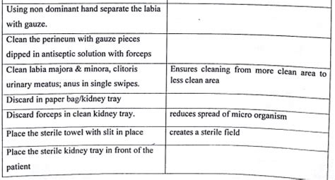 Urinary Elimination: Urinary Catheterization | notes ...