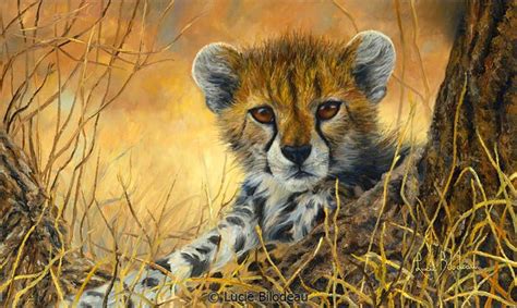 Pin On African Wildlife Paintings By Lucie Bilodeau