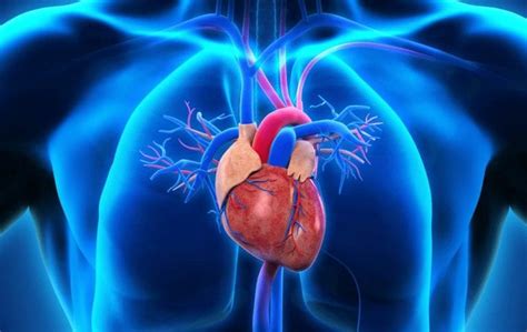 Choroba Niedokrwienna Serca Objawy Przyczyny Leczenie