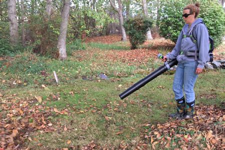 To maintain these gravelled areas, simply pick up any loose leaves you see on your garden stone during a stroll. Rakes or Leaf Blowers - What's Best? - Garden Mentors