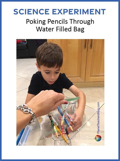 Poking Pencils Through Water Filled Bag Science Experiment Science