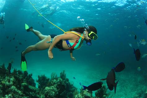 the beautiful island of barbados a scuba diving paradise desertdivers