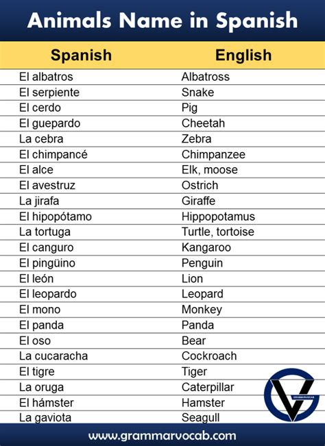 Names Of Animals In Spanish Grammarvocab