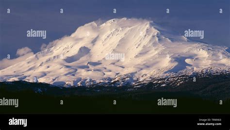 Usa Washington Snow Covered Mt Adams In The Ford Pinchot National