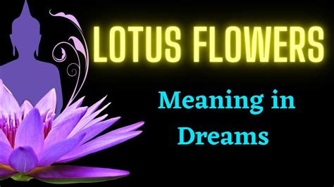 Dreaming Of Lotus Flowers Lotus Flower Spiritual Meaning And