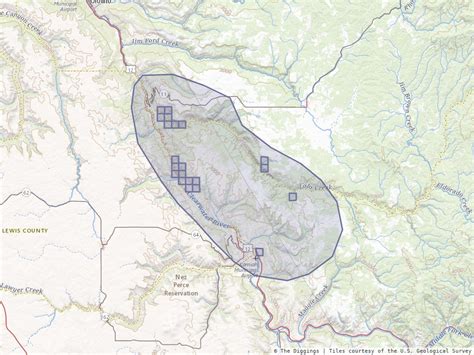 Lolo Mining District Idaho The Diggings