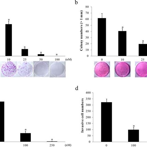 Suppression Of In Vitro Colony Formation Migration And Invasion