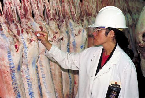 Federal Meat Inspection Food Science Toolbox