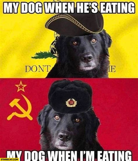 My Dog When His Eating Libertarian Dont Tread On Me Vs My Dog When Im