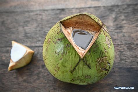 In Pics Three New Breeds Of Dwarf Coconuts In Hainan Xinhua