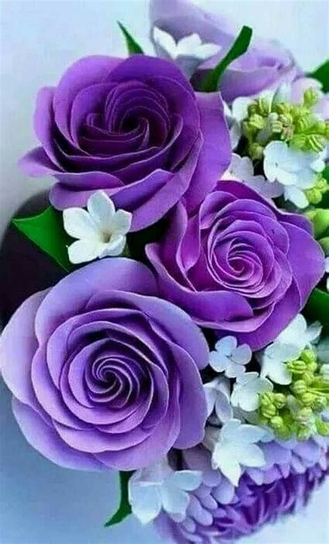 Wow 21 Gambar Bunga Mawar Ungu Cantik Gambar Bunga Indah