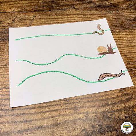 Worms Snails And Slugs Activity Pack Pre K Printable Fun