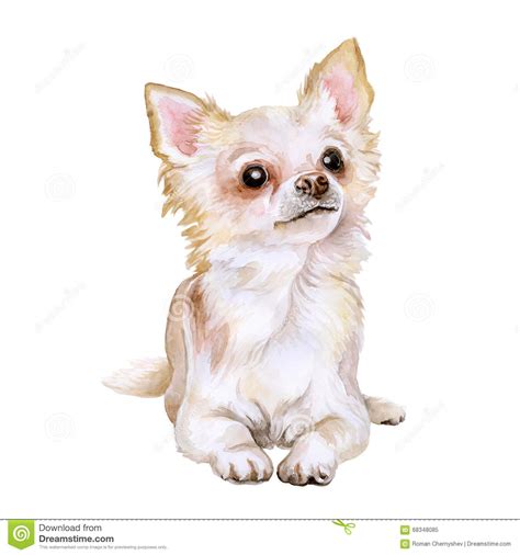 2 weeks ago art ala carte 1,245,860 views markcrilley, i am drawing your cat. Portrait D'aquarelle De Chien Mexicain Populaire De Chiwawa De Race Sur Le Fond Blanc Animal ...