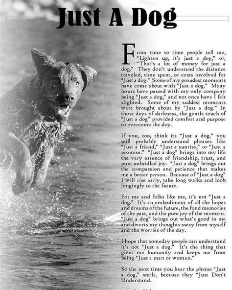 A Black And White Photo Of A Dog In The Water With An Article About It