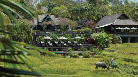Resort Four Seasons Chiang Mai En Tailandia Mundo Flaneur