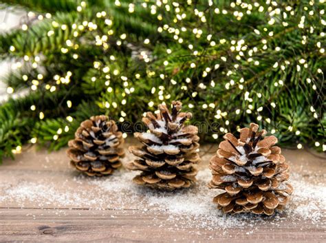 Pine Cone And Christmas Tree Branches Lights Decoration Stock Image