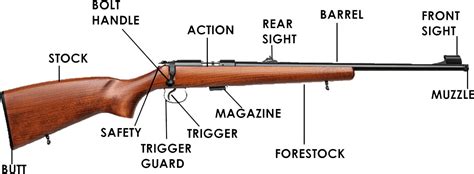Parts Of A Rifle Labeled