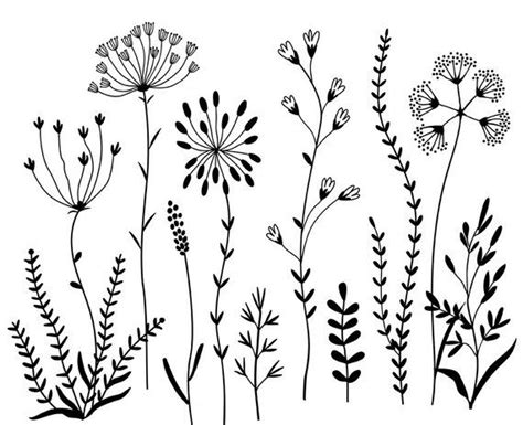 Contact blumenstrauss tanzgruppe on messenger. Wildblumen Originalbilder von Hand gezeichnet. Digitale ...