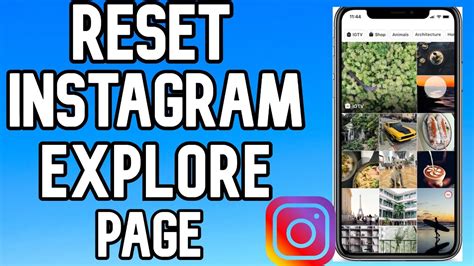 How Do I Reset My Instagram Explore 2020