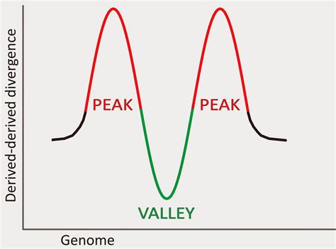 Eco Evo Evo Eco Peaks And Valleys In The Genome