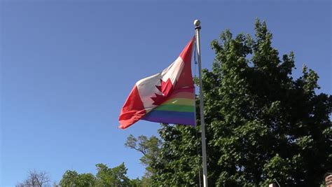 Canadian Rainbow Pride Flag Waving Wind Editorial Video 13149195j