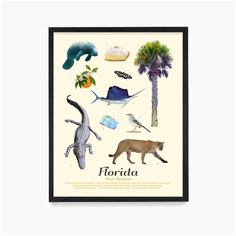 Florida State Symbols Poster Florida Art Florida Poster Etsy Canada