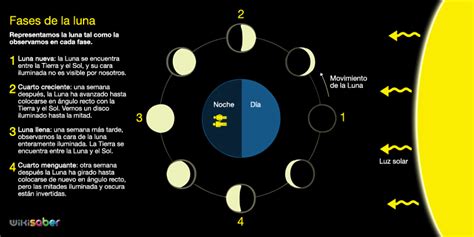 Cuánto Dura Cada Fase Lunar 【 Calendario 2023