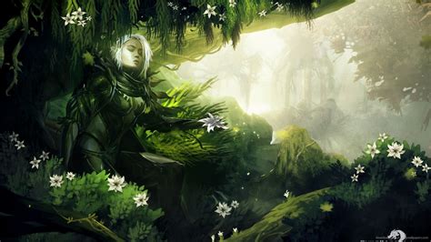 Elven Forest Wallpapers Top Free Elven Forest Backgrounds