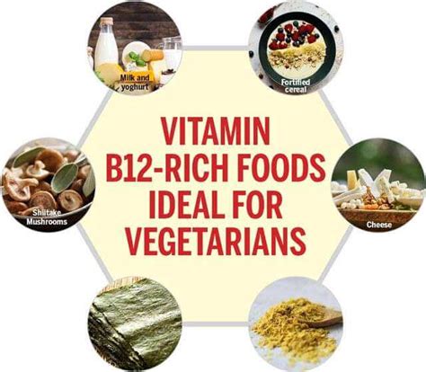 Vegetarian Friendly Foods For Vitamin B12 High In This Essential Nutrient