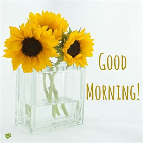 Good Morning Sunflowers Quote Pictures Photos And Images For Facebook