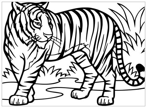 Tigers to color for kids - Tigers Kids Coloring Pages