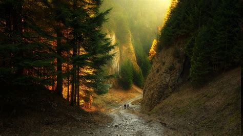 Wallpaper 1500x844 Px Canyon Dirt Road Forest Landscape Mountain