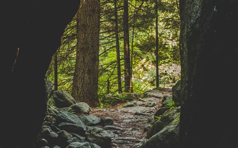 Download Wallpaper 3840x2400 Cave Forest Trees Stones
