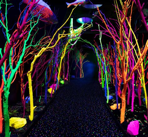Meow Wolf Is The Immersive Art Experience Making Millions One37pm
