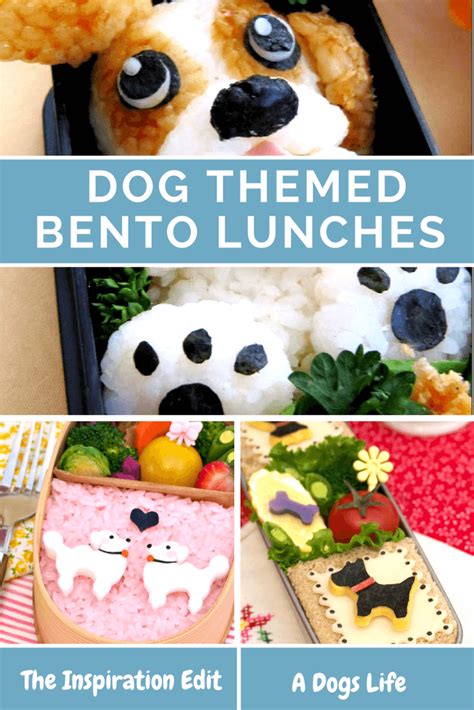 5 Brilliant Dog Bento Lunches Bento Lunch Food Themes Bento