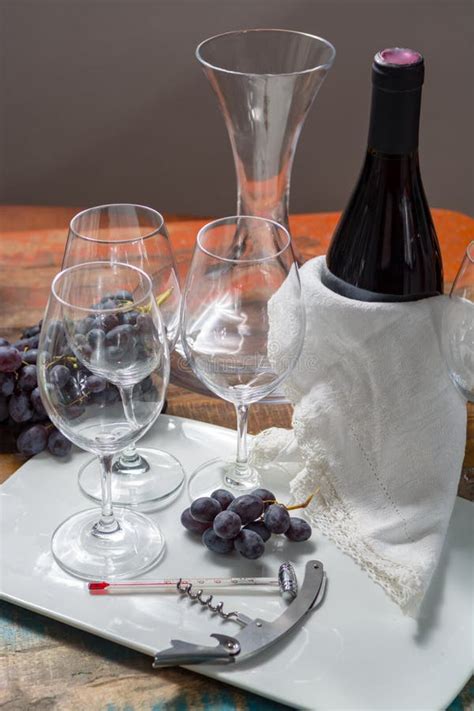 Professional Red Wine Tasting Event With High Quality Wine Glass Stock Image Image Of Glass