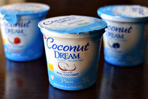 Coconut Dream Non Dairy Yogurt Review