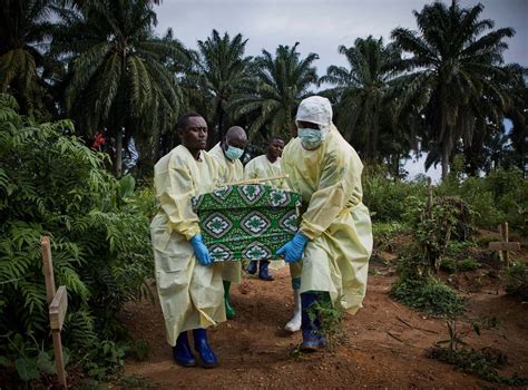 Le marché du travail au congo est représenté par une population active d'environ 70 %, dont un peu plus de 51 % de femmes et 49 % d'hommes. Ebola death toll in Congo now over 2,000 | The Independent ...