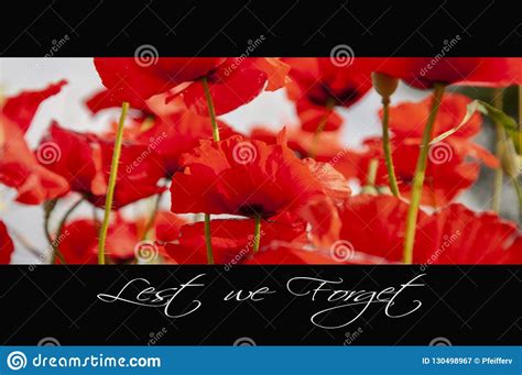 Remembrance Day Background Stock Image Image Of Anzac 130498967