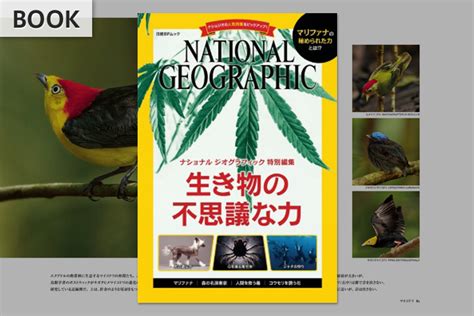 ナショナル ジオグラフィック特別編集 生き物の不思議な力 ナショナル ジオグラフィック日本版サイト