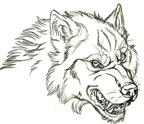 Wolf Face Drawing At Getdrawings Free Download