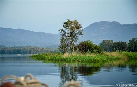 Satpura The River Safari On Denwa Tripoto
