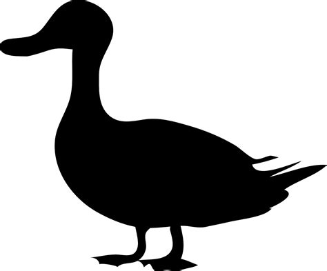Duck Silhouette Black Free Vector Graphic On Pixabay